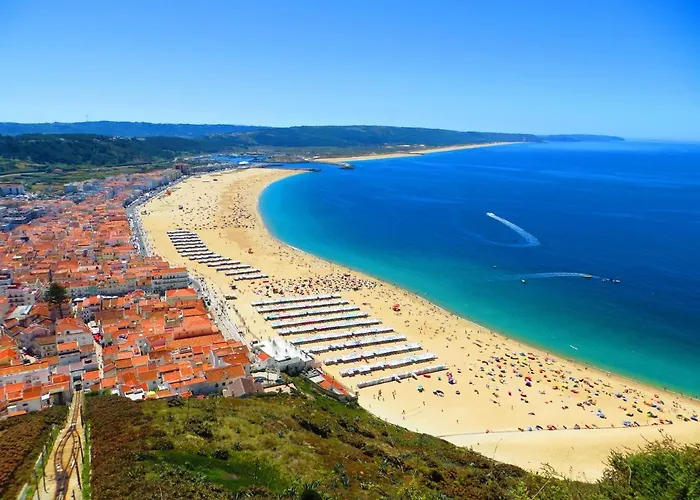 Light Wave Center 50m 아파트 나자레